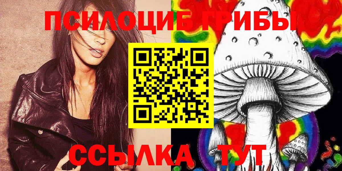 Псилоцибиновые грибы GOLDEN TEACHER Майкоп